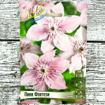 Клематис ПИНК ФЭНТЕЗИ (3 группа обрезки)