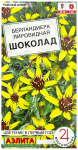 Берландиера лировидная ШОКОЛАД АЭЛИТА