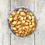 Лук Севок Радар Голландия