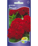 Целозия гребенчатая Тореадор (семи-дварф тореадор)