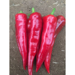 Перец острый Каппи пикантный