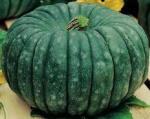Тыква Мраморная 2г