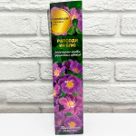 Роза парковая РАПСОДИ ИН БЛЮ