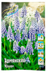 Мускари Армянский
