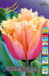 Тюльпан Ламбада (1шт) 1748