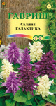 Сальвия Галактика*, карликовая, смесь 8 шт.