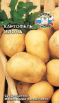картофель Илона