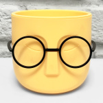 Горшок для цветов Стив 0,65л