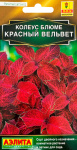 Колеус блюме Красный вельвет 10шт