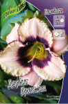 Лилейник Даринг Дилемна (2шт) 2399