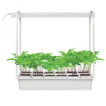 Набор Минисад Подставка металл, светильник 10W (спектр д/рассады и цвет.) с ящиком 12 стаканов Uniel