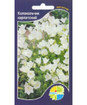 Колокольчик Карпатский белый (вайт)