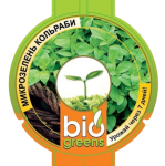 Комплект Свежая зелень (лоток для проращивания) семена кольраби в подарок