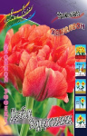Тюльпан Дабл Художник (1шт) 3352 (10)