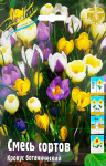 Крокус смесь Ботанических сортов (10)