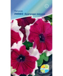 Петуния Лимбо бургунди пикоти
