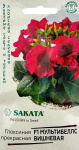 Глоксиния Мультибеллс вишневая F1 ГАВРИШ