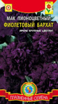 Мак Фиолетовый бархат*