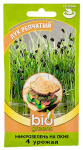 Микрозелень на окне ЛУК РЕПЧАТЫЙ bio greens