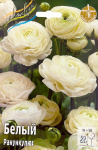 Ранункулюс Белый (10шт)