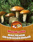 Грибы Масленок
