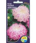 Астра Розовая жемчужина (дюшес роуз энд вайт)