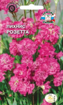 Лихнис сверкающий Розетта (розовый)