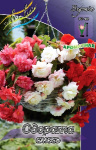 Бегония Одората (ароматная) Смесь (3шт) 3838