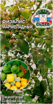 Физалис МАРМЕЛАДНЫЙ СеДеК