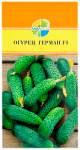 Огурец ГЕРМАН F1 АКВАРЕЛЬ