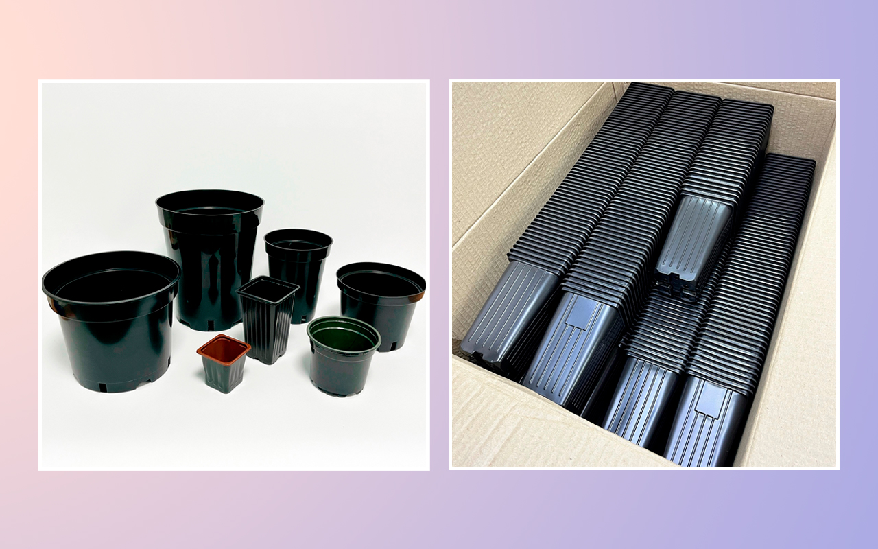 Большое поступление СТАКАНЧИКОВ ДЛЯ РАССАДЫ