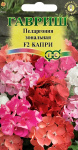 Пеларгония Герань Капри F2 зональная* 4 шт.