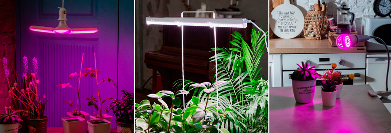 Фитолампы для рассады