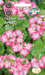 Пеларгония Герань Арбат зональная
