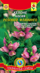 Хелоне Розовый Фламинго