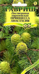 Лиственница европейская Принцесса Анастасия* 0,1 г DHп