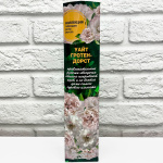 Роза ругоза УАЙТ ГРОТЕНДОРСТ