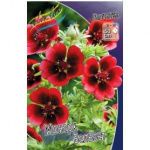 Лапчатка Монарх Вельвет (2шт) 3250