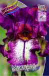 Ирис Германский Маскарад (2шт) 4124