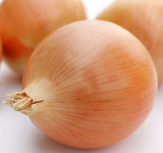 Лук репчатый Стурон 1,0г