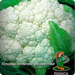 Капуста Цветная Малимба 0,05г (Голландия)