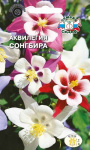 Аквилегия Сонгбира (смесь)
