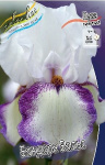 Ирис Германский Бандера Вальс (1шт) 4094