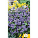 Незабудка альпийская Виктория сиреневая