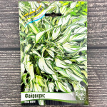 Хоста ФАЙРВОРКС