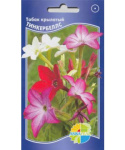Табак цветущий крылатый Тинкербеллс (дварф тинкербеллс F2)