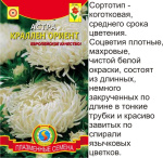 Астра Краллен Ориент белая