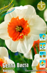 Нарцисс Белла Виста (1шт)