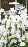 Колокольчик персиколистный Реверанс белый
