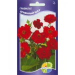 Гравилат Огненный шар (Мисс бредшеу)